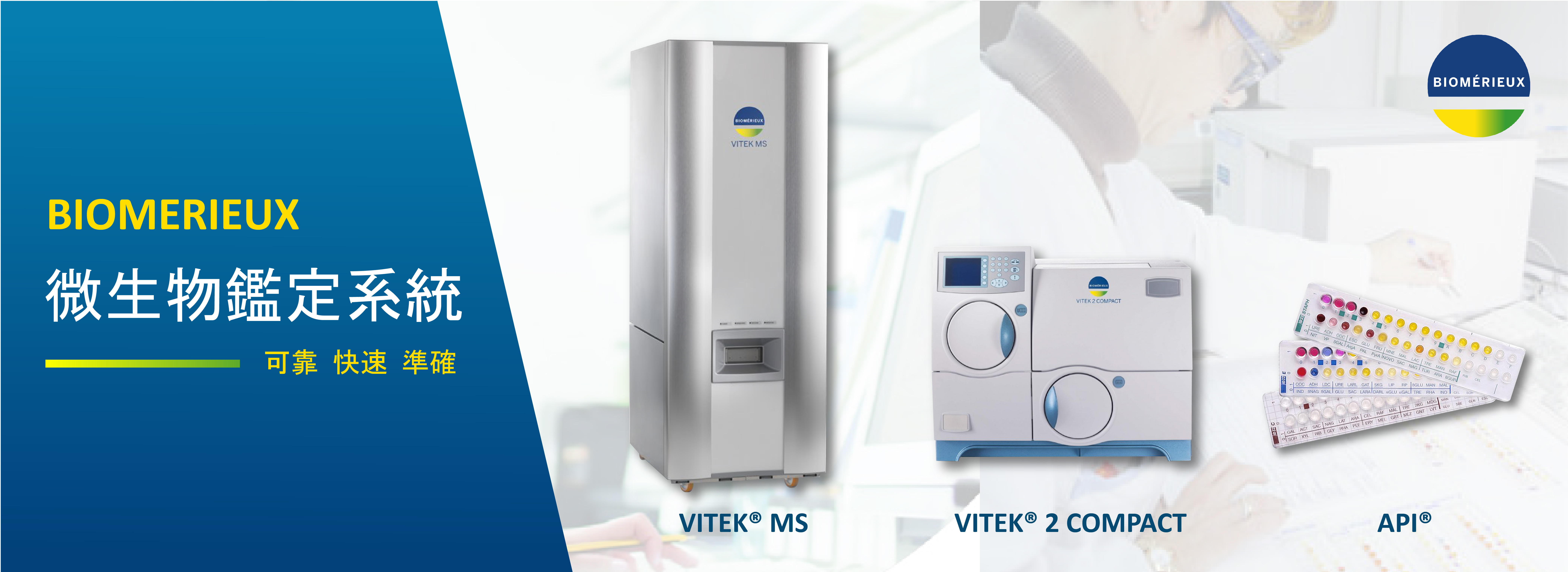 微生物鑑定系統