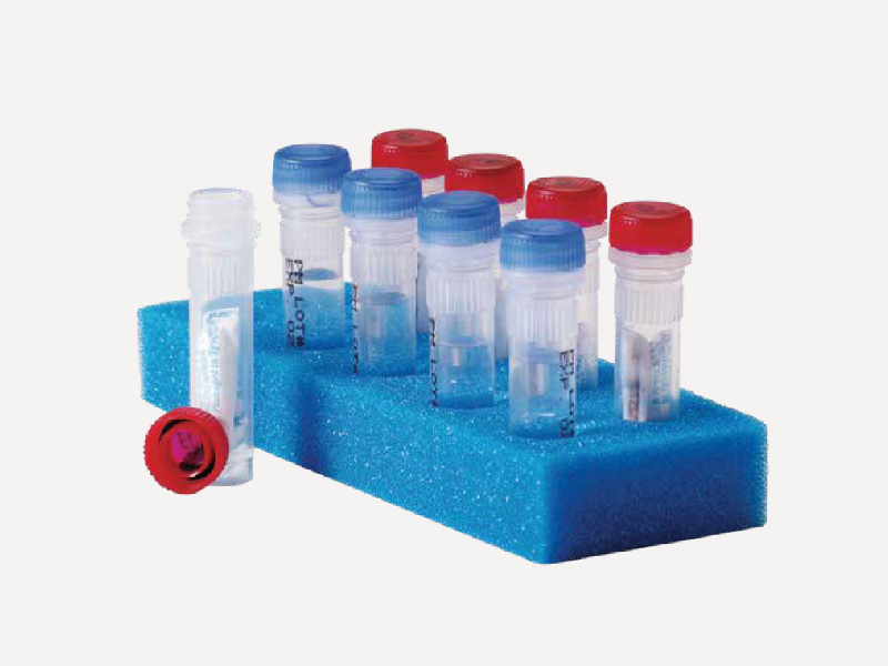 定量定性標準菌株